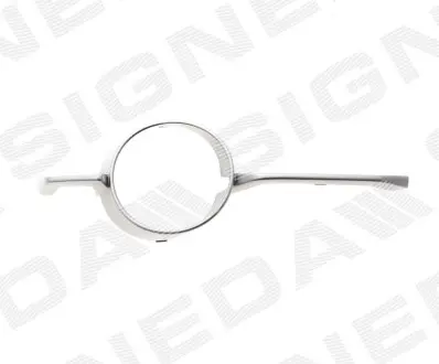 СТРІЧКА ДЛЯ РЕШІТКИ | BMW X6 (E71), 08 - 14 Signeda PBM07131MAR