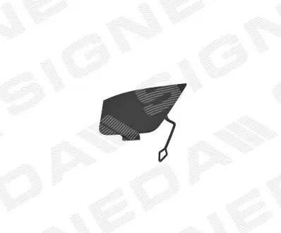 ЗАГЛУШКА КРЮКА Signeda PBM99184CA
