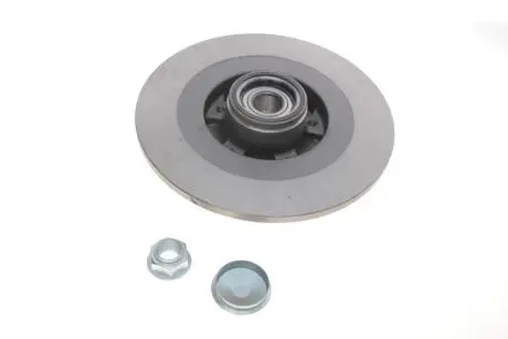 Диск тормозной z ioiyskiem RENAULT.. SKF VKBD1029