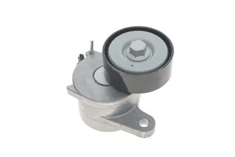 Ролик натяжной AUDI/SKODA/VW \'\'1,6-2,0TDI "12>> SKF VKM31130
