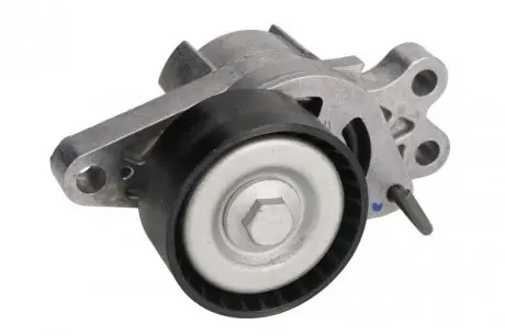 Натяжной ролик SKF VKM 33300
