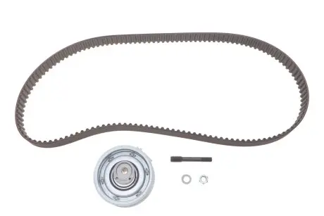 Комплект (ремень+ролики)) SKF VKMA 01113