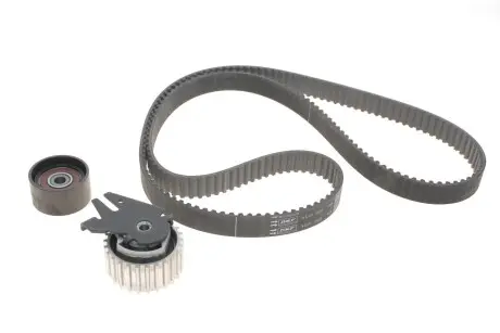 Комплект (ремень+ролики)) SKF VKMA 02199