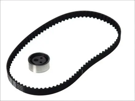 Ремкомплект ГРМ RENAULT KANGOO (KC0/1) 1.2 SKF VKMA 06010
