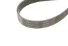 Роликовый модуль натяжителя ремня (ролик, ремень) SKF VKMA 31098 (фото 4)