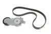 Комплект доріжкового ремня SKF VKMA 33165 (фото 1)