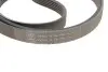 Комплект дорожного ремня SKF VKMA 36038 (фото 4)