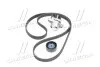 Роликовий модуль натягувача ременя (ролик, ремінь) SKF VKMA 36209 (фото 4)