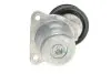 Роликовый модуль натяжителя ремня (ролик, ремень) SKF VKMA 64114 (фото 4)