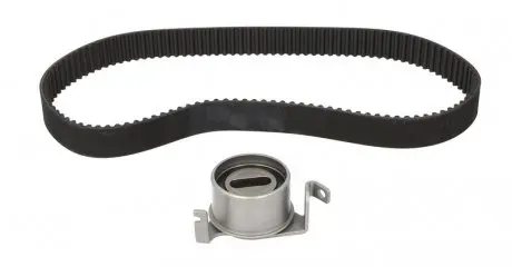 Комплект (ремень+ролики)) SKF VKMA 95025