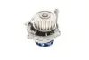 Комплект (ремень+ролик+насос) SKF VKMC 01113-1 (фото 7)
