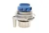 Комплект (ремень+ролик+насос) SKF VKMC 01113-1 (фото 9)