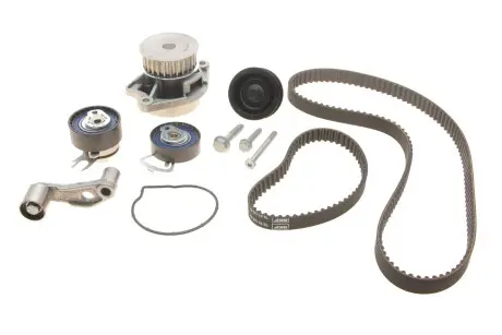 Комплект (ремень+ролик+насос) SKF VKMC 01121-1