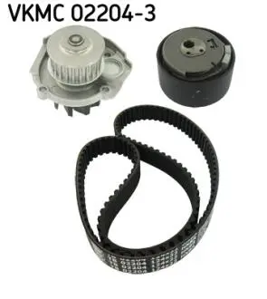 Комплект (ремень+ролик+насос) SKF VKMC 02204-3