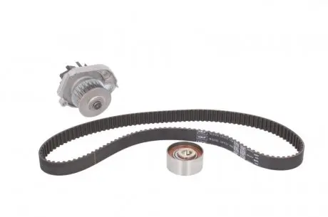 Комплект (ремень+ролик+насос) SKF VKMC 02206-2