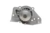 Комплект (ремень+ролик+насос) SKF VKMC 03241-2 (фото 6)