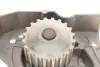 Роликовый модуль натяжителя ремня (ролик, ремень, насос) SKF VKMC 03241 (фото 7)