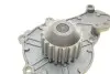 Комплект (ремень+ролик+насос) SKF VKMC 03316 (фото 9)