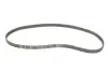 Комплект (ремень+ролик+насос) SKF VKMC 05156-2 (фото 2)