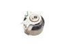 Комплект (ремень+ролик+насос) SKF VKMC 06002 (фото 7)