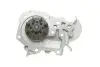 Комплект (ремень+ролик+насос) SKF VKMC 06003 (фото 5)