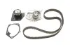 Комплект (ремень+ролик+насос) SKF VKMC 06008 (фото 1)