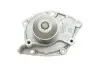 Комплект (ремень+ролик+насос) SKF VKMC 06127 (фото 10)