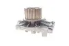 Комплект (ремень+ролик+насос) SKF VKMC 06220 (фото 6)