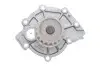 Комплект (ремень+ролик+насос) SKF VKMC 06220 (фото 7)