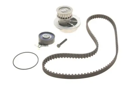 Комплект (ремень+ролик+насос) SKF VKMC 90202