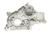 Комплект (ремень+ролик+насос) SKF VKMC 91903 (фото 12)