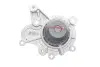 Водяний насос + комплект зубчастого ременя SKF VKMC 95660-3 (фото 9)