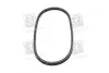 Ремінь клиновий 13AVx875 SKF VKMV13AVx875 (фото 4)