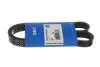 Доріжковий пас SKF VKMV6PK1020R (фото 2)