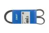 Доріжковий пас SKF VKMV6PK1020R (фото 3)