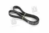 Ремень поликлин. (выр-во SKF) VKMV6PK1117