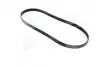 Поликлиновый ремень SKF VKMV 6PK1180 (фото 1)