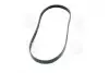 Поликлиновый ремень SKF VKMV 6PK1180 (фото 4)