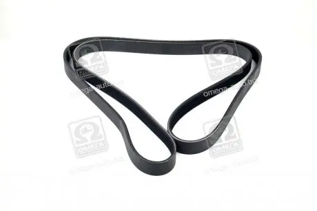 Поликлиновый ремень SKF VKMV 6PK1795