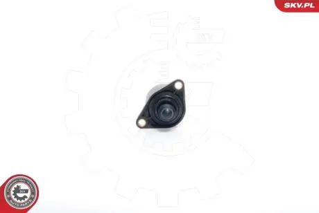 Клапан управління холостого ходу PEUGEOT 206/306/307/406/807 B31/00 B29/01 SKV GERMANY 08SKV022