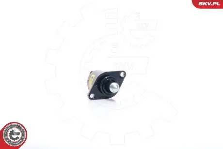 Клапан управління холостого ходу RENAULT CLIO I/II/KANGOO/MEGANE 1,4 8V SKV GERMANY 08SKV038
