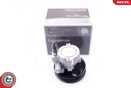 Насос гідропідсилювача керма DACIA Duster NISSAN Kubistar RENAULT Clio Megane SKV GERMANY 10SKV207