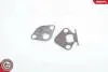 Zawуr EGR VW, SEAT, 06A 131 501 E, 06A 131 501 N SKV GERMANY 14SKV043 (фото 6)