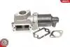 Zawуr EGR FIAT DOBLO PUNTO STRADA 1.9 D / EG10303-12B1 SKV GERMANY 14SKV064 (фото 6)