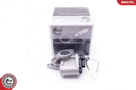 Клапан EGR RENAULT Laguna II Megane II Scenic II SKV GERMANY 14SKV168