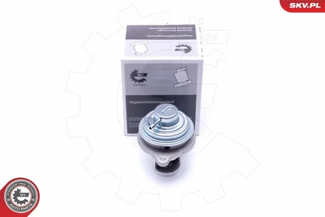 Клапан EGR SMART Fortwo SKV GERMANY 14SKV182