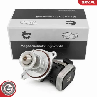 Клапан EGR SKV GERMANY 14SKV272