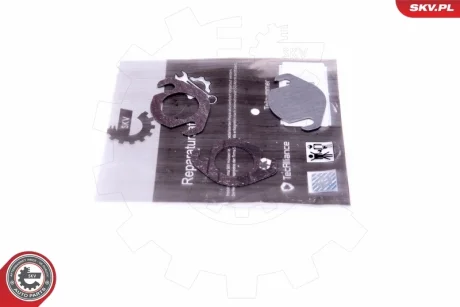 Ремонтний комплект клапана EGR VAG V6 2.5 TDI AKE AYM BCZ BFC BAU AFB AKN SKV GERMANY 14SKV539