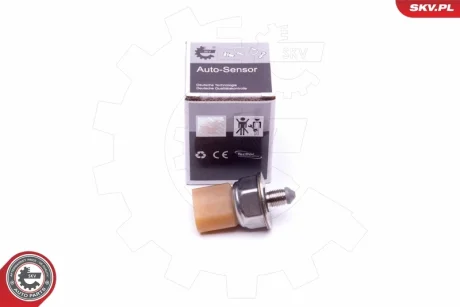 Датчик тиску пального AUDI A4 A5 A6 A7 A8 Q5 Q7 VW Golf V Jetta III Touareg SKV GERMANY 17SKV581