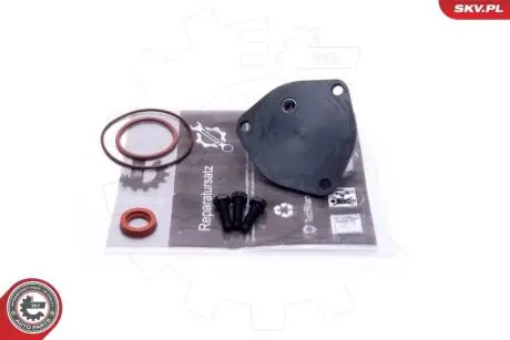Ремкомплект вакуумного насоса SKV GERMANY 18SKV800